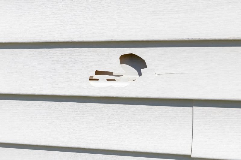 Vinyl Siding Repair - Image 15